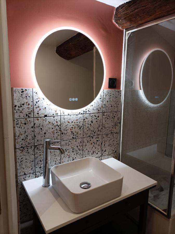 Le Studio D'Emma Apartment Romans-sur-Isère Екстериор снимка