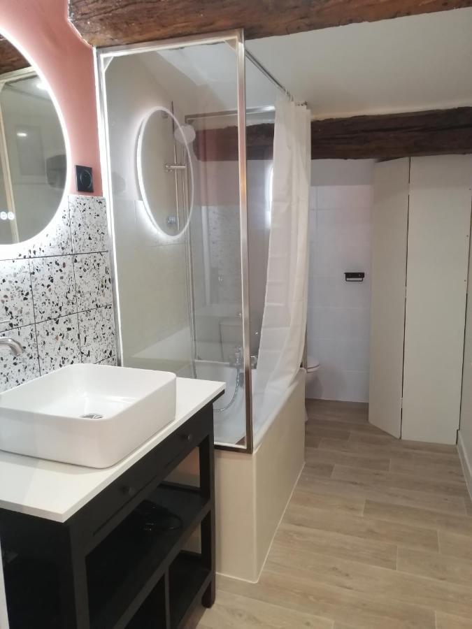 Le Studio D'Emma Apartment Romans-sur-Isère Екстериор снимка